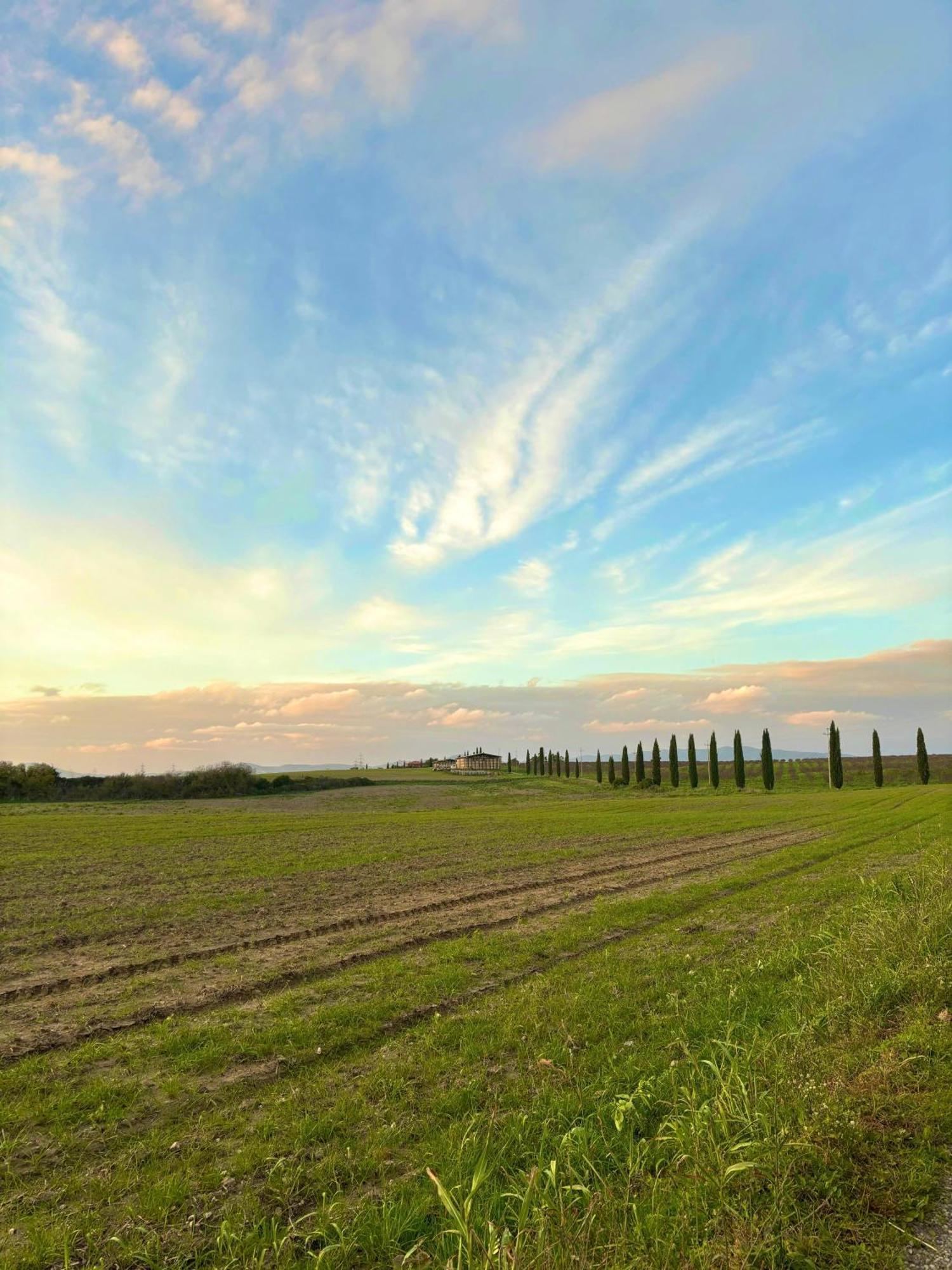 Tenuta Saracone Montalto di Castro Luaran gambar